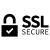 SSL 256-bit Encryption